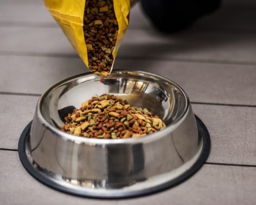 Pouring pet food into a bowl